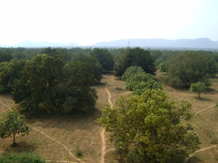 hills - hills, white, trees, green