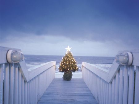 Christmas By The Sea - sea, star, deck, christmas tree