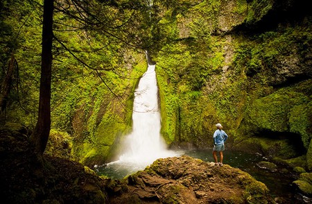 Wahcella Falls Oregon - picture, falls, cool, oregon, wahcella