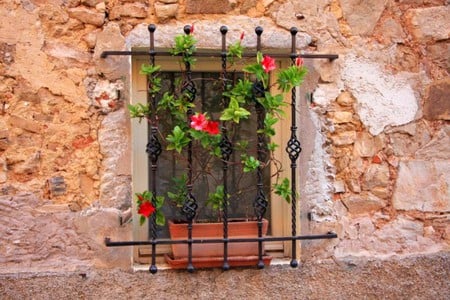 Window Flowers - flowers, picture, window, beautiful