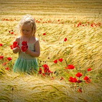 Baby Girl In Fields