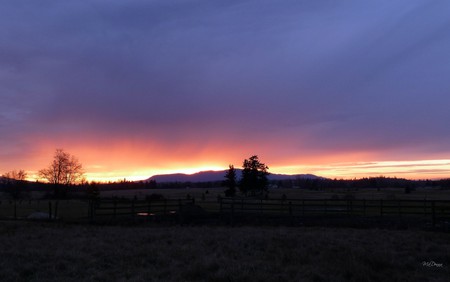 December Sunset - trees, winter, fence, washington, firefox persona, sunset, cold, field, country, farm, sky