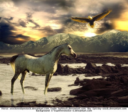 Wintry Landscape - horses, bald eagle, eagle, grey, arabian