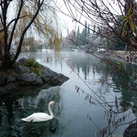 is cool ... the snow fall ...  but all is peaceful