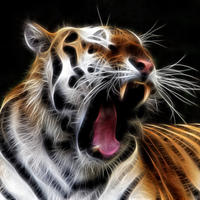 Fractal Tiger's Roar