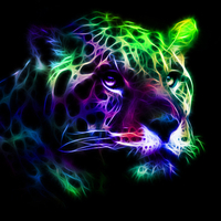 Colorful Fractal Leopard