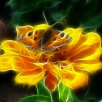 Fractal Yellow Flower and Butterfly