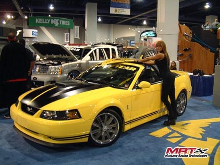 Mustang - ford, car, yellow, mustang, female