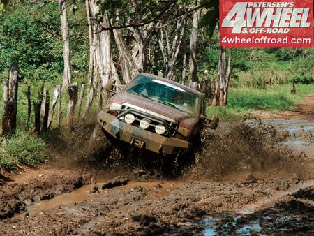 Muddy Ford - truck, ford, muddy, 4x4