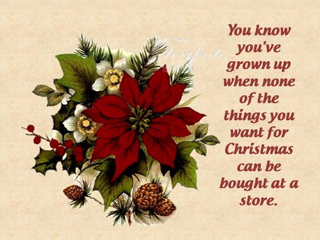 Christmas quote - christmas, poinsettia, holiday, quote