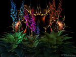 Fractal Fantasy Garden