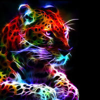 Beautiful and Colorful Fractal Leopard