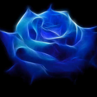 A Beautiful Blue Fractal Rose