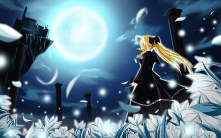 Gorgeous Night - beautiful quality, anime, touhou, gorgeous, night