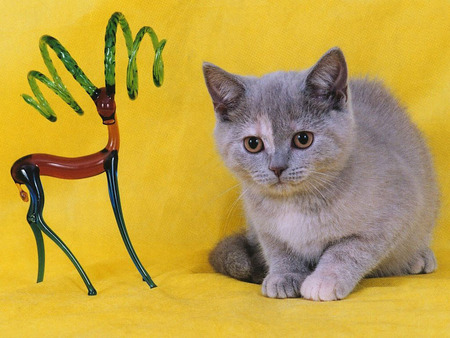 Kitten with sculpture - animal, kitten, statue, cat, sweet, sculpture