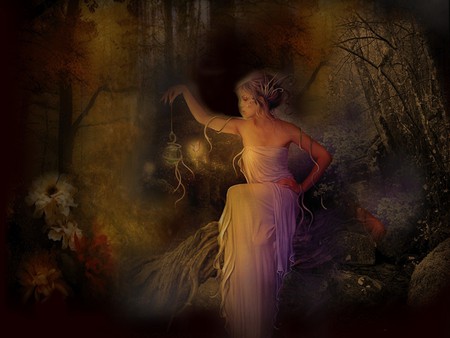 FAIRY IN THE NIGHT - fairy, night, female, forest