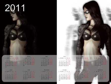 calendar 2011 - woman, sexy, calendar, 3d