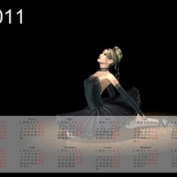 Calendar 2011