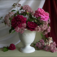 still life