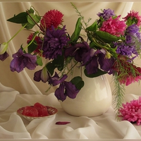 still life