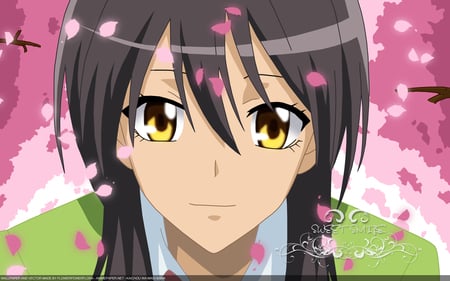 maid sama misaki - cute, smile, beautiful, funny