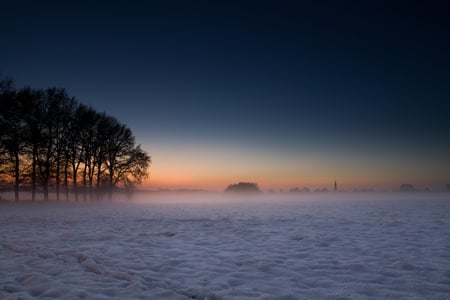 Winter landscape - sky, landscape, trees, popular, sun, winter, sesons, nature, white, cold, yellow, snow, blue, frozen, sunrise