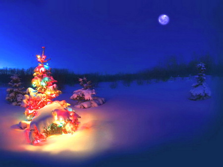 Lights in the darkness - moon, glow, christmas lights, trees, winter, snow, night, creche