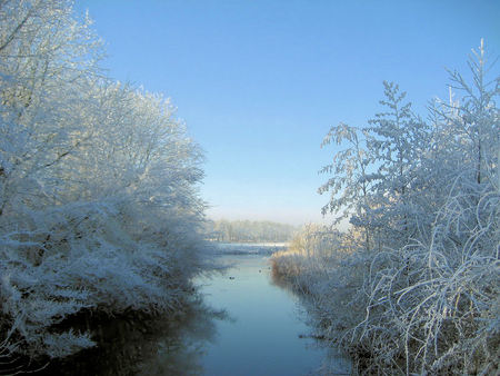 Winter - trees, sunny, winter, water, silence, blue, pond, beautiful, tree, december, frozen, white, nature, view, cold, sky