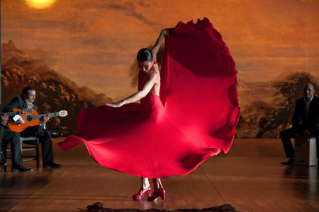 Flamenco - spanish, dancer, spain, girl, brunette, flamenco, andalucia