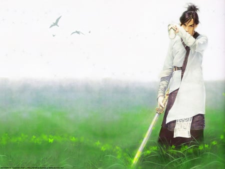 chenshufen - warrior, sword, fantasy, flowers, anime, nature, birds, grass