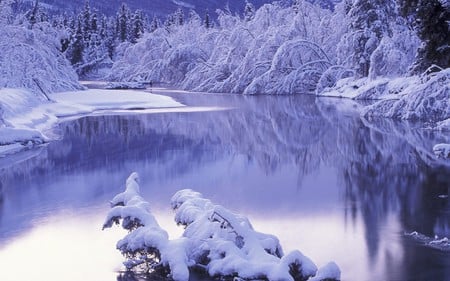 wonderful winter - trees, winter, water, beautiful, snow, ice, white, nature, cold, lake