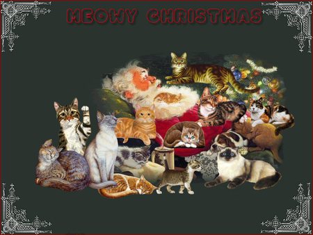 Meowy Christmas - seasons greeting, kittens, cats, green, new, christmas