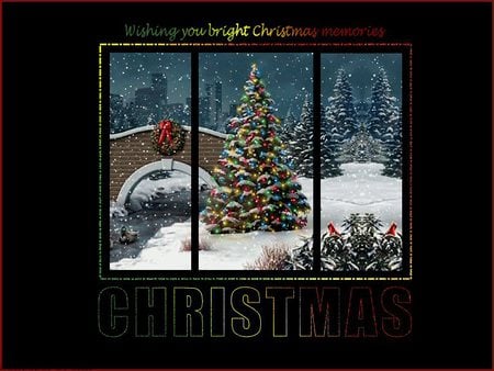 Wonderful Black Christmas - black, christmas tree, window, decorations, park