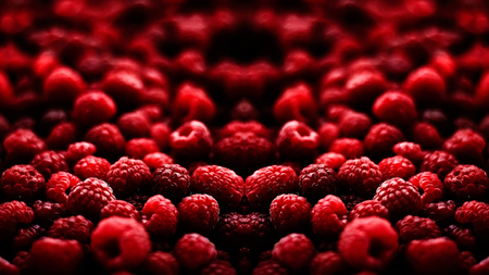 Raspberry - tasty, red, photography, raspberry