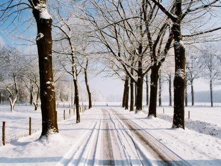 ice road - trees, nature, road, landscape, snow, iced, sky