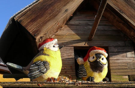 Christmas Birds for my Friend Pufulete - sanntas hat, two birds figure, birds house, beautiful