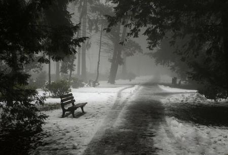 snow winter - nature, chair, landscape, trees, snow, winter, road, christmas