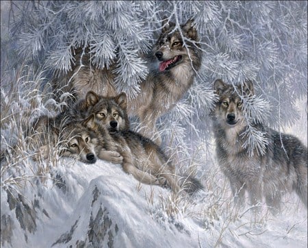 Crystal Morning - winter, wolf, forest, snow