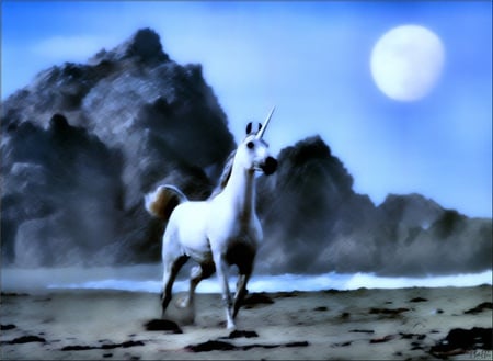 A Jog On The Beach - moon, water, beach, 3d, unicorn, hose, rocks, other