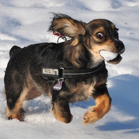 i love snow