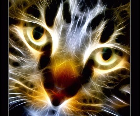 Fractal cat - face, fractal, beautiful, cat