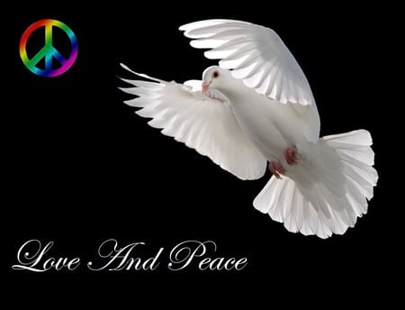 Love and Peace - love, tolerance, peace symbol, no more war, dove, understanding, unity, harmony