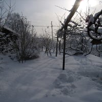 Winter Wonderland_4