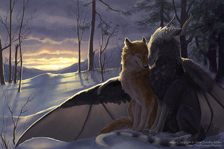 December_Sunrise - snow, winter, december, animal