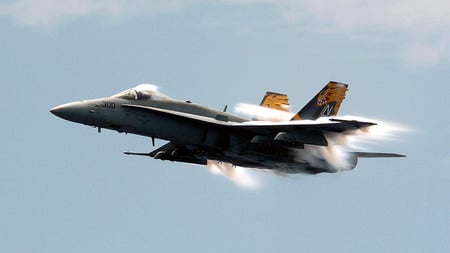 McDonnell Douglas F/A-18 Hornet - hornet, f18, mcdonnell, douglas