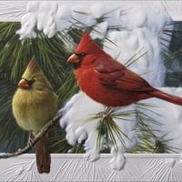 A CARDINALS CHRISTMAS CARD