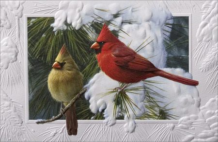 A CARDINALS CHRISTMAS CARD - red, card, brown, cardinals, christmas