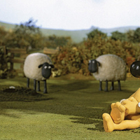 shaun the sheep