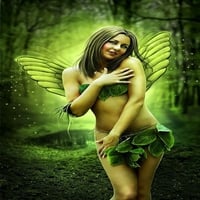 Beautiful fairy