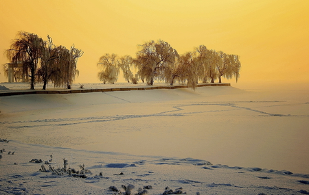 Golden winter - beauty, ice, lake, sky, landscape, background, trees, popular, winter, sesons, nature, white, cold, yellow, frozen